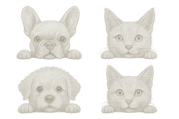 Cartoon pets peeking over empty signboard, playful animal characters waiting for custom text, transparent isolated graphic