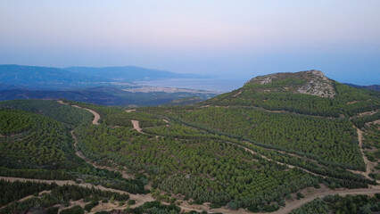 Aerial View of a Green Forested Mountain with Dirt Roads at Sunset, Aegean Region, Turkey