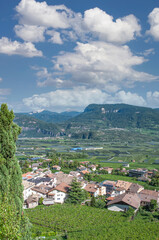 Fototapeta premium famous Wine Village of Tramin an der Weinstrasse,Trentino,South Tirol,Italy