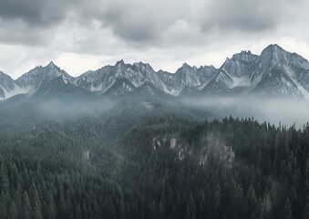 Obraz premium Overcast mountains and dense forest landscape
