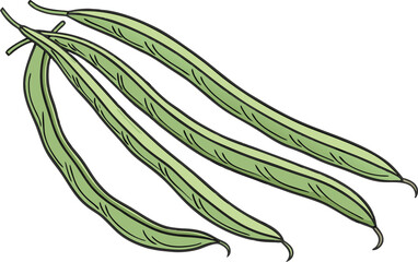 Yardlong Bean Illustration of Green Long Beans Isolated on White Background. Realistic Yardlong Bean Design Showing Detailed Green Pods for Food Concepts. Organic Yardlong Bean Artwork Featuring Farm 