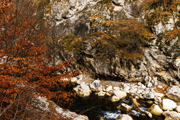 a water stream in the river and colorful leaves in autumn forest in the canyon, Turkey
