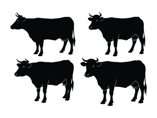 Cattle Silhouettes: A striking image showcasing the silhouettes of four cattle, standing out with their strong shapes and forms. Perfect for designs that require minimalistic, impactful graphics