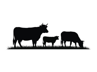 Cattle silhouette: A tranquil countryside scene of cattle grazing peacefully in a field, where the gentle curve of the landscape complements the animals' calm presence.