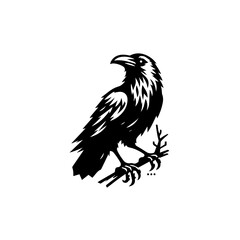 Obraz premium Black raven perched on a branch, isolated on white background