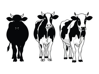 Farm Trio: Featuring three distinct cow illustrations—silhouette, striking black-and-white markings, and a classic view—perfect for design and conceptual projects.