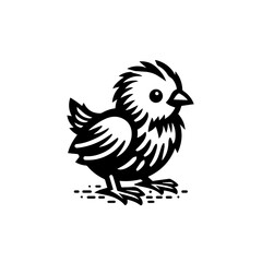 Obraz premium Cute fluffy chick isolated on white background