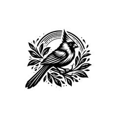 Cardinal bird perched on branches isolated on white background