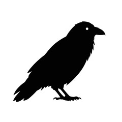 Black Raven Silhouette Against White Background