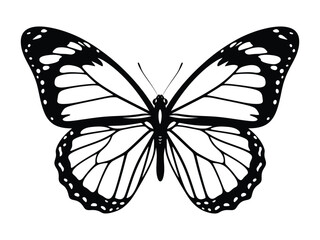 Butterfly's Symmetry: A detailed graphic of a butterfly showcasing a symmetrical and classic design, where beauty and art converge in this exquisite illustration.