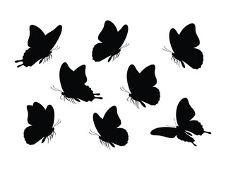 Butterfly Silhouette: Capturing a ballet of nature's wonders, a collection of butterfly silhouettes dances gracefully against an open canvas, embodying lightness and freedom.