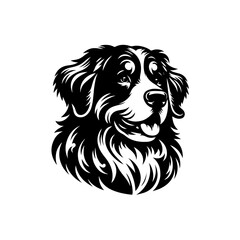 Fototapeta premium Bernese mountain dog portrait, stylized illustration, isolated on white background