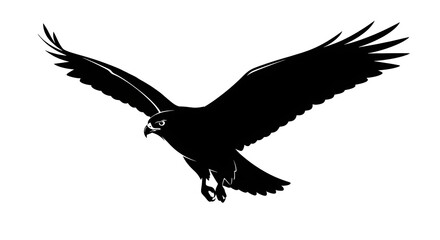 Obraz premium Silhouette of bird in flight