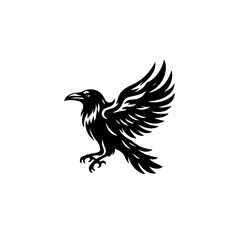 Obraz premium Black raven or crow bird flying with wings spread isolated on white background