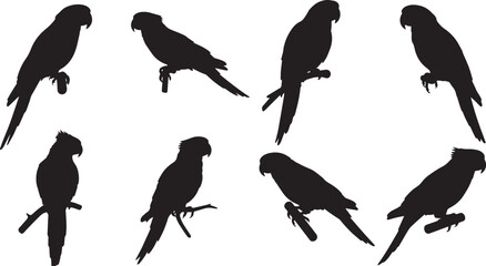 Parrot silhouettes set vector illustration