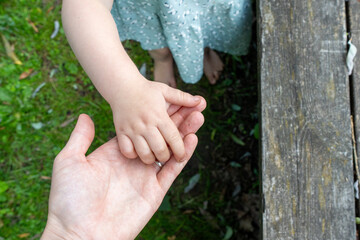 Child and adult picking berries in their garden and exploring nature.