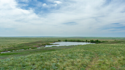 Fototapeta premium Expansive green landscape with a serene pond surrounded by lush grass and trees under a bright blue sky, showcasing the beauty of nature and tranquility