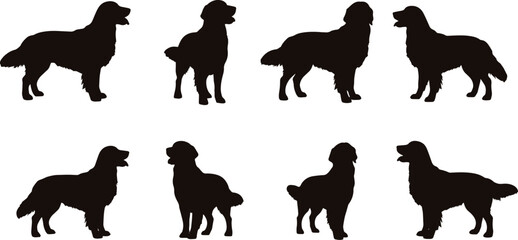 Golden retriever silhouettes dog vector set