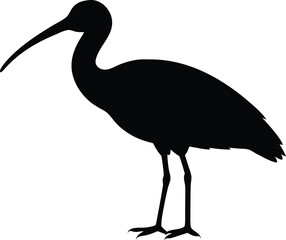 ibis bird isolated silhouette vector icon