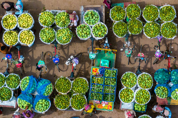 Kansat, Bangladesh - 15 June 2019: Aerial view of vibrant green mangoes arranged meticulously in baskets and on bicycles along Sona Masjid Road.