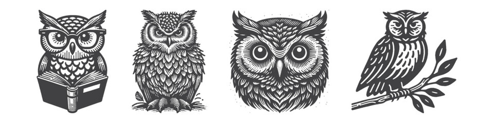 Obraz premium Vintage Hand-Drawn Owl Perched On Branch Illustration, Nocturnal Bird Engraved Vector for Wildlife and T-Shirt Design