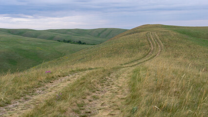 Naklejka premium Long mountains. Rolling green hills with a winding dirt path leading through tall grass under a cloudy sky, showcasing the beauty of nature and tranquility in the landscape