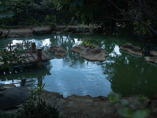 Tranquil Garden Pond with Wooden Bridge and Stone Islands in Lush Greenery

