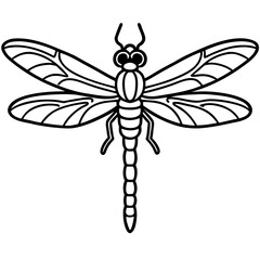 Elegant Dragonfly Line Illustration