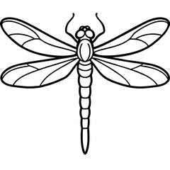 Elegant Dragonfly Line Illustration