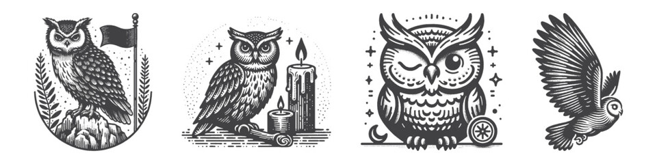 Vintage Hand-Drawn Owl With Flag Illustration, Patriotic Bird Engraved Vector for Wildlife and T-Shirt Design