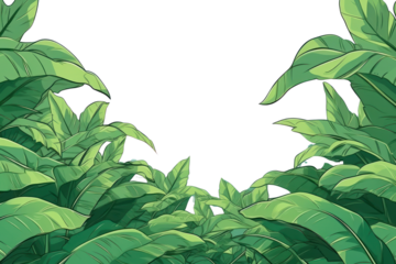 PNG Illustration green banana leaves landscape backgrounds vegetation outdoors.