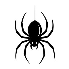 schwarze Spinne Icon