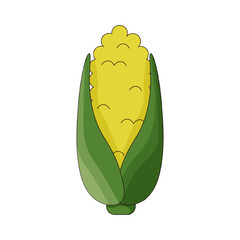 Vector ear of corn with green leaves isolated transparent backgorund. Perfect cartoon corn template design. Editable stroke EPS 10