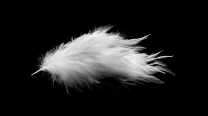 A dreamy, ethereal puff of white smoke floats effortlessly against a solid black canvas. The soft, fluffy texture and wispy, feather-like edges create a serene yet dynamic visual