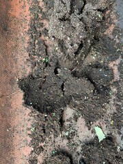 close up of the ground