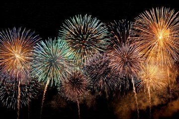 Colorful Fireworks Explode In Night Sky