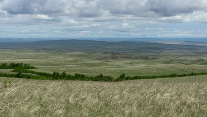 Obraz premium Expansive green landscape with rolling hills, tall grass swaying in the wind, under a cloudy sky, showcasing the beauty of nature and open spaces in a serene environment