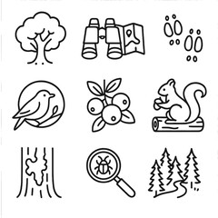 Forest Exploration Icons. Line style icons of forest exploration: tree canopy icon, binoculars and map, animal footprints, bird