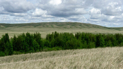 Fototapeta premium Expansive green landscape with rolling hills under a cloudy sky, showcasing the beauty of nature and the tranquility of the countryside in a serene environment