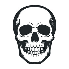 Fototapeta premium Detailed black and white human skull drawing with intricate linework. Vector illustration