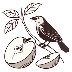 A bird perched on a branch with an apple and a slice isolated on white background