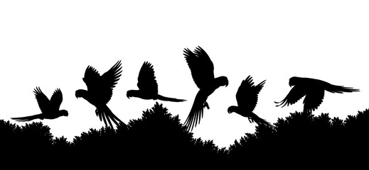 Black silhouette illustrations of parrots flying over acacia trees isolated on transparent background