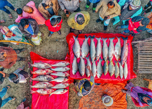 Bogura, Bangladesh - 09 February 2022: Aerial view of vibrant red cloths displaying an array of fish surrounded by a diverse crowd in the bustling market.