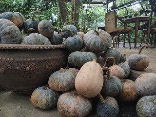 Close-up of fresh organic pumpkins with natural textured skin in a rustic wooden bowl, surrounded by greenery. Perfect for autumn, harvest, and farm-to-table themed designs.
