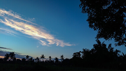A bright morning, the sun is rising. A clear blue sky. Orange hues in the distance. A silhouette photo.