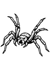 Black and white vector of spider on white background. Perfect for engraving, prints, tattoos, laser projects, insect designs, and spider lovers