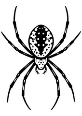 Black and white vector of spider on white background. Perfect for engraving, prints, tattoos, laser projects, insect designs, and spider lovers