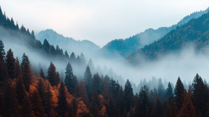 Obraz premium Serene autumn landscape showcasing misty mountains and vibrant foliage, evoking tranquility and nature's beauty