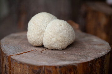 Lion's mane - Hericium erinaceus, medicinal mushroom contains  phytochemicals: polysaccharides,  β-glucan, hericenones and erinacines  - that promote nerve growth factor in human brain.