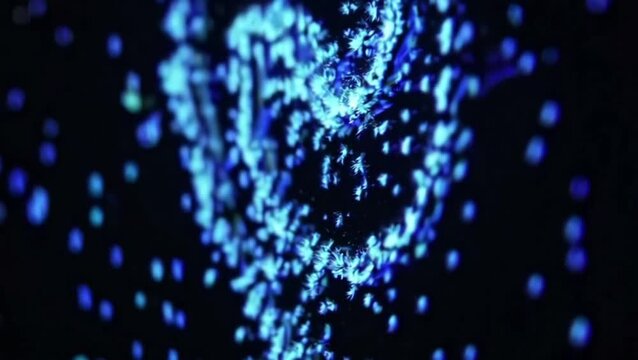 Bioluminescent algae swirling in circular motion

